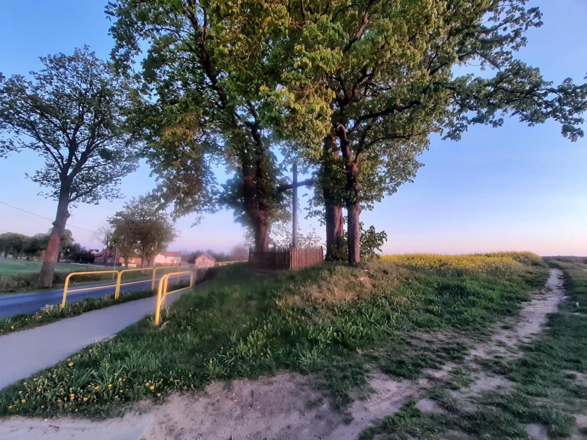 Noclegi Zdzislaw Sieradzki Zbiczno Exterior foto