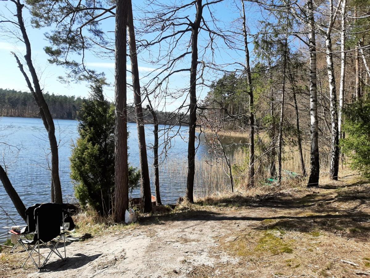 Noclegi Zdzislaw Sieradzki Zbiczno Exterior foto